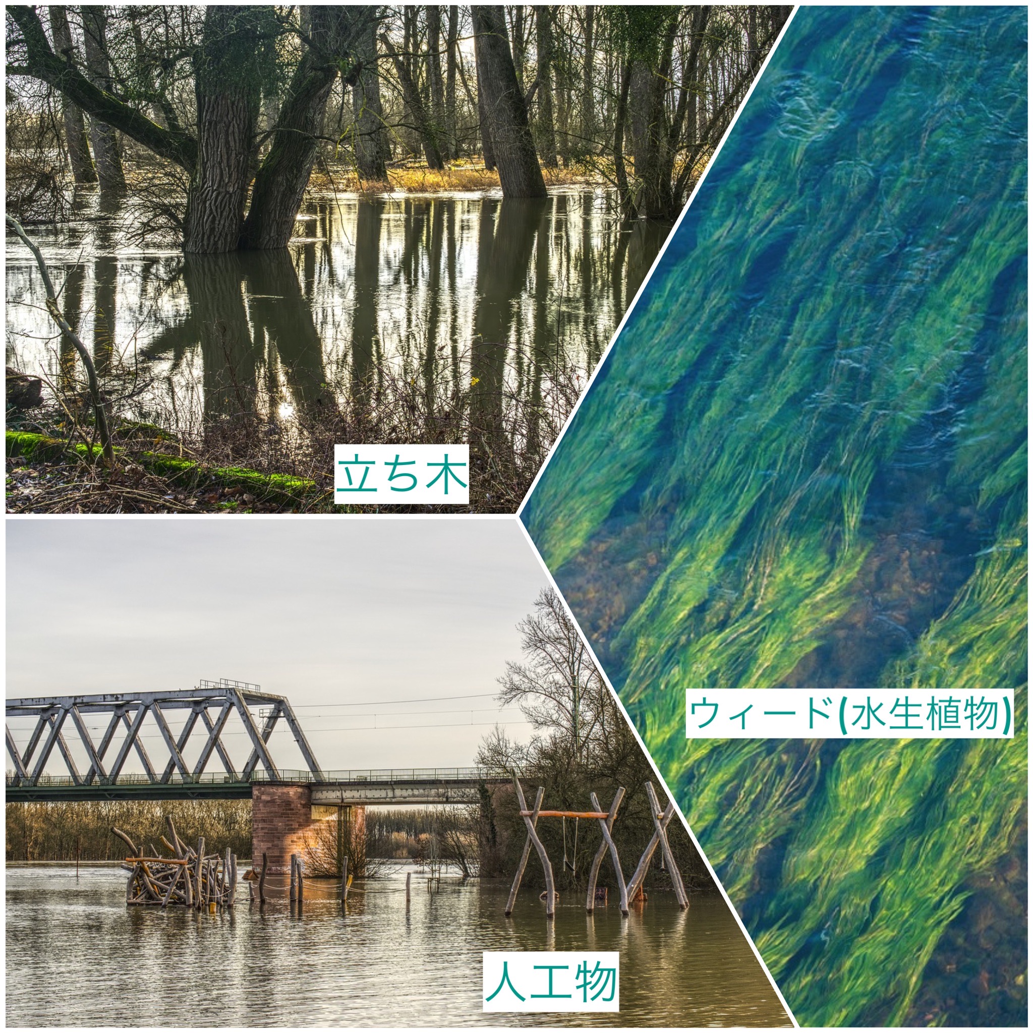 テキサスリグに適したシチュエーションの説明写真
