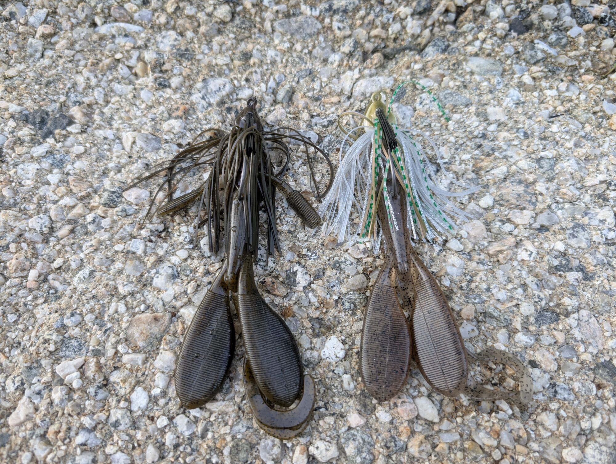 ノリーズ、タクジグ写真