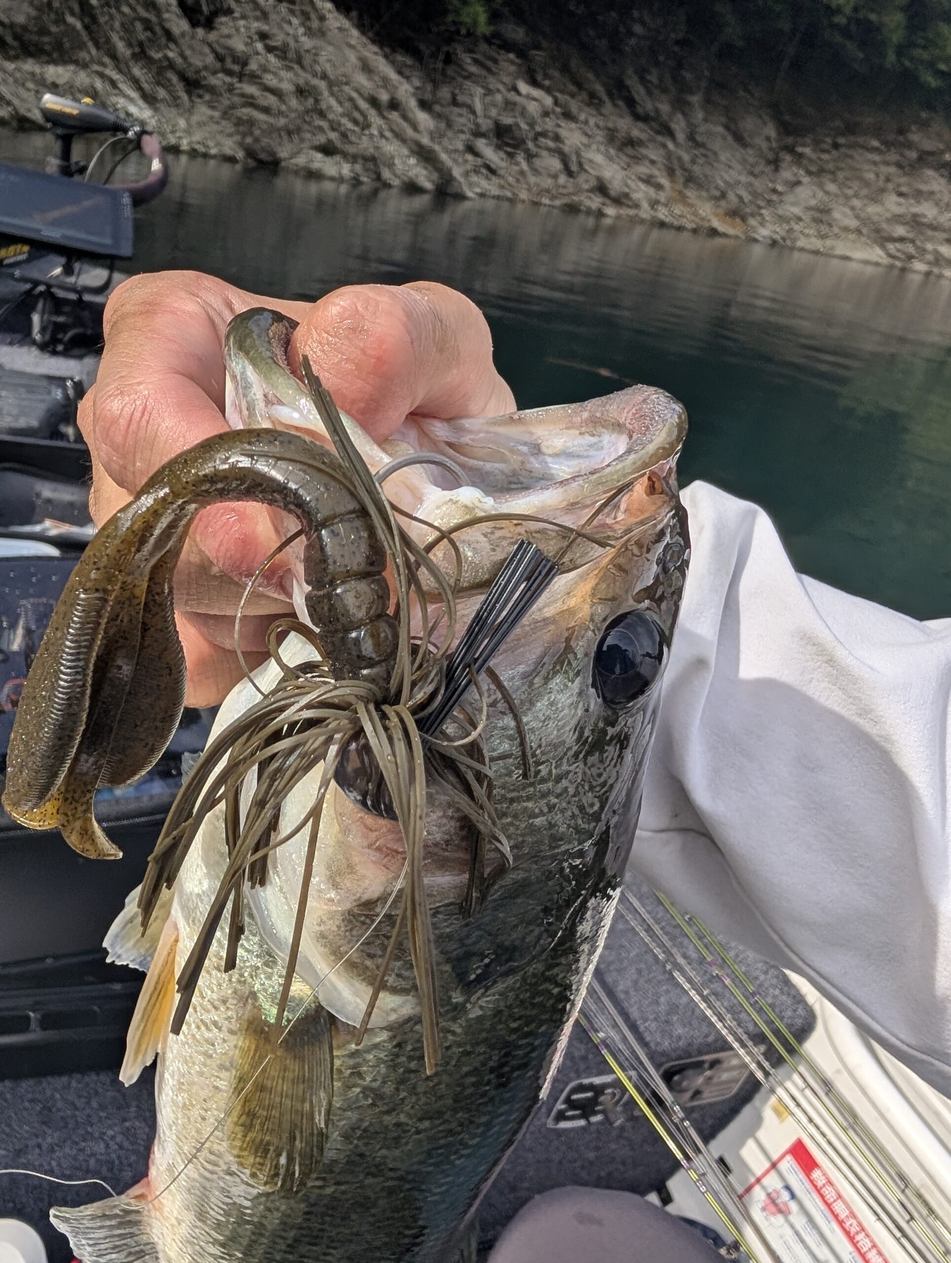 ノリーズのタクジグで釣ったブラックバスの写真
