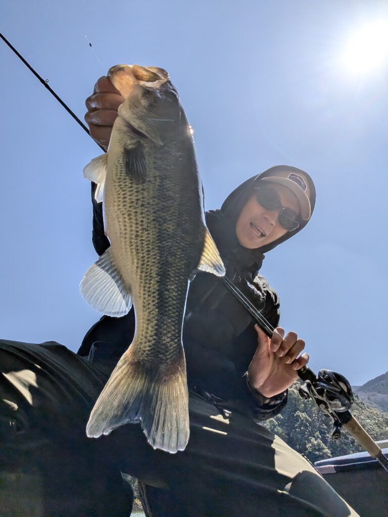 野村ダムで釣りあげたブラックバスの写真